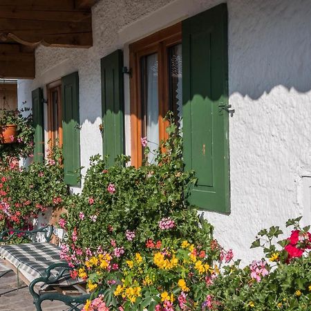 Ferienwohnung Zugspitze 그라이나우 외부 사진