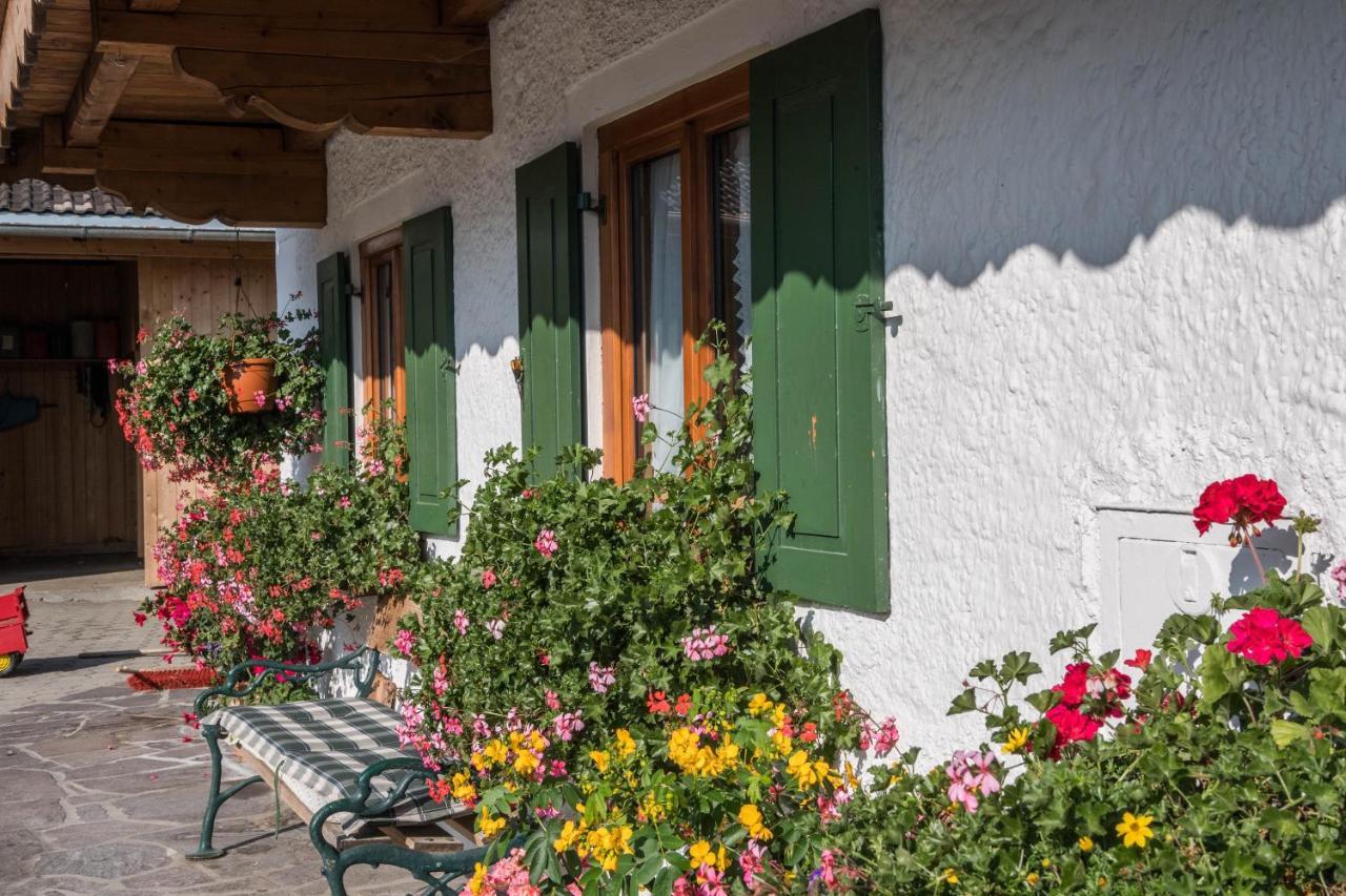 Ferienwohnung Zugspitze 그라이나우 외부 사진